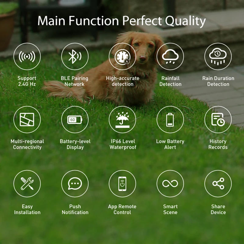WiFi Rain Sensor Rainfall Duration Detection Outdoor Waterproof Battery Powered Tuya Smart Life App Control Home Automation